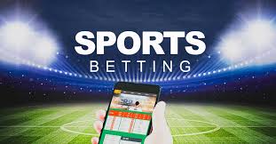 Essential Betting Tools for Professionals Essential Betting Tools for Professionals